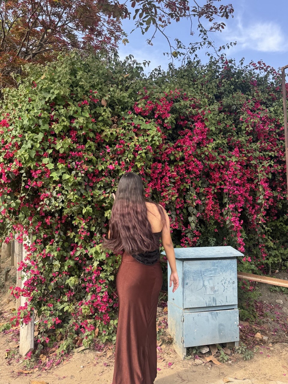 Elise Dusk Dress
