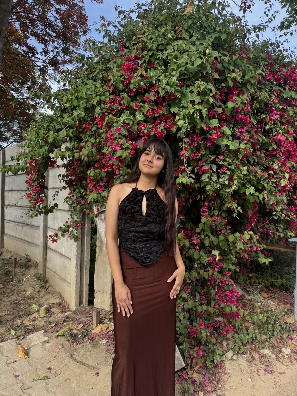 Elise Dusk Dress