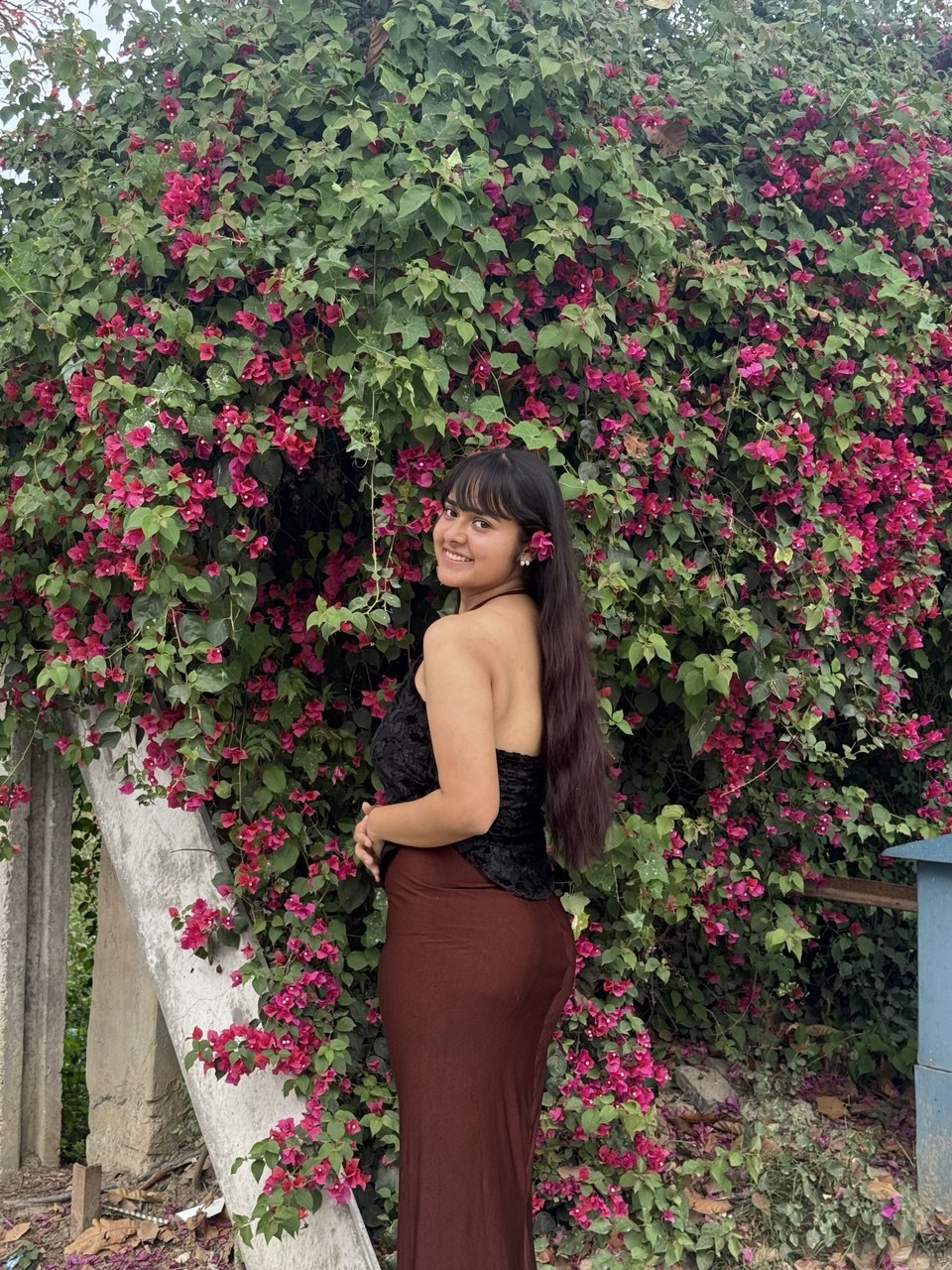Elise Dusk Dress